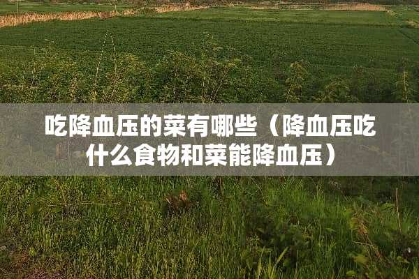 吃降血压的菜有哪些（降血压吃什么食物和菜能降血压）