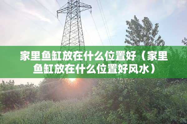 家里鱼缸放在什么位置好（家里鱼缸放在什么位置好风水）