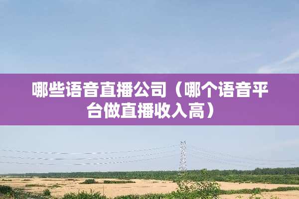 哪些语音直播公司（哪个语音平台做直播收入高）