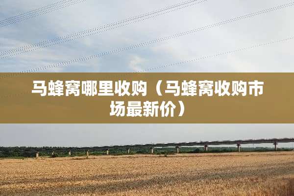 马蜂窝哪里收购（马蜂窝收购市场最新价）