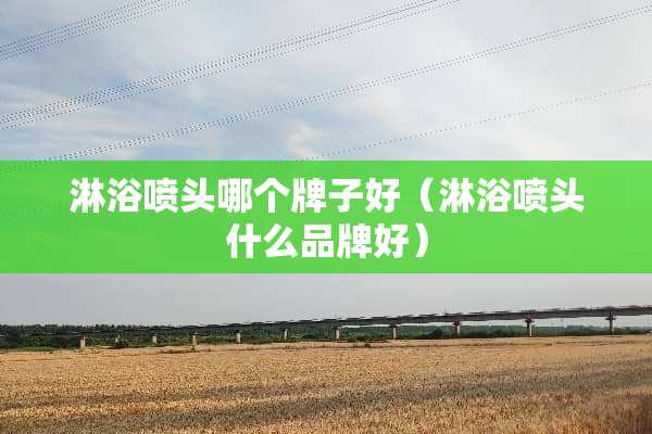 淋浴喷头哪个牌子好（淋浴喷头什么品牌好）