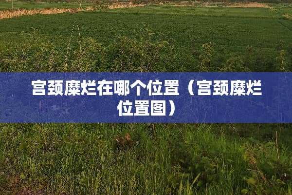 宫颈糜烂在哪个位置（宫颈糜烂位置图）