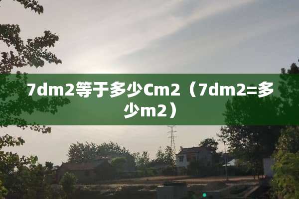 7dm2等于多少Cm2（7dm2=多少m2）