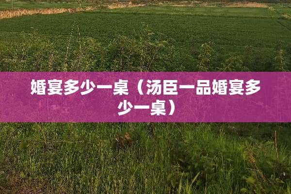 婚宴多少一桌（汤臣一品婚宴多少一桌）