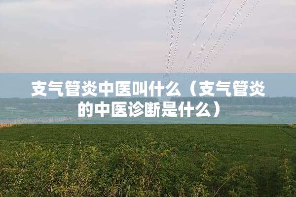 支气管炎中医叫什么（支气管炎的中医诊断是什么）