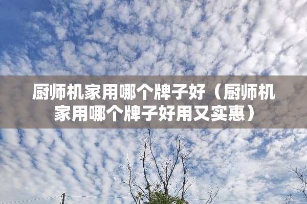 厨师机家用哪个牌子好（厨师机家用哪个牌子好用又实惠）