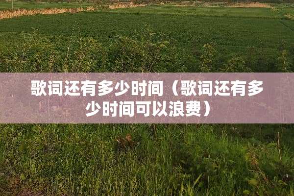 歌词还有多少时间（歌词还有多少时间可以浪费）
