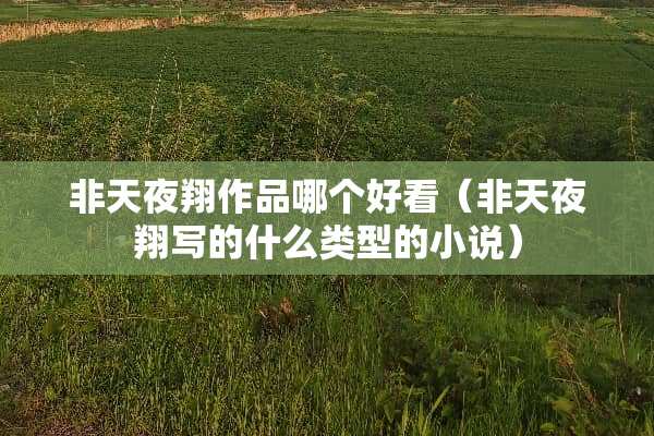 非天夜翔作品哪个好看（非天夜翔写的什么类型的小说）