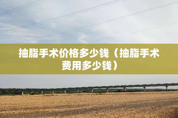 抽脂手术价格多少钱（抽脂手术费用多少钱）