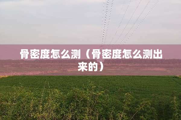 骨密度怎么测（骨密度怎么测出来的）