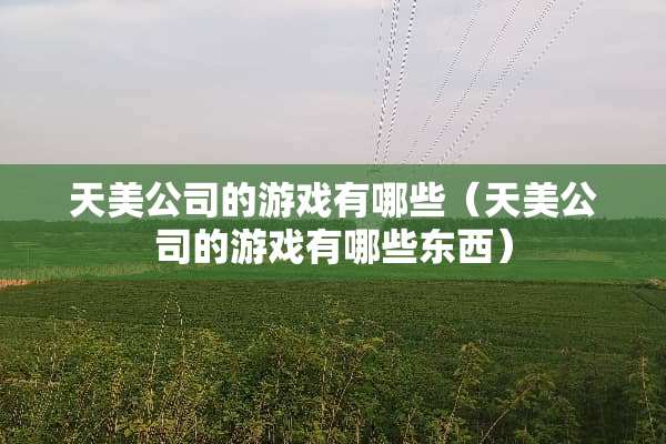 天美公司的游戏有哪些（天美公司的游戏有哪些东西）