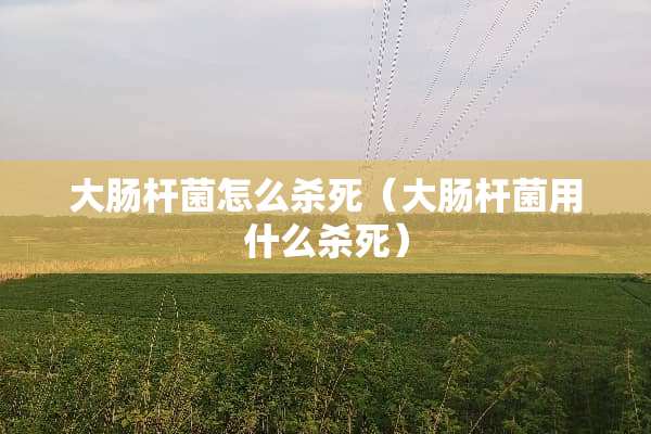 大肠杆菌怎么**（大肠杆菌用什么**）