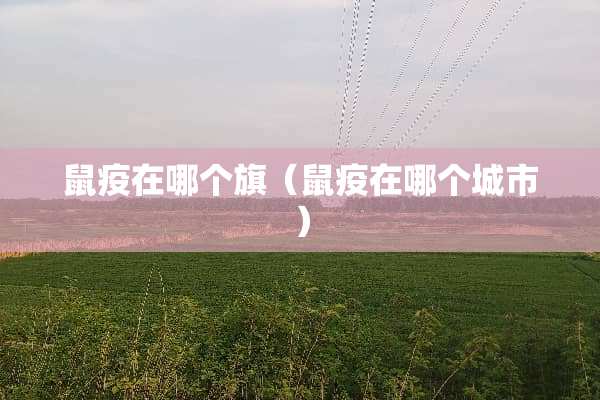 鼠疫在哪个旗（鼠疫在哪个城市）
