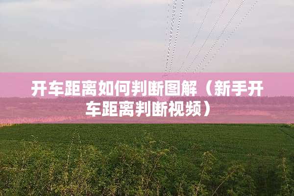 开车距离如何判断图解（新手开车距离判断视频）