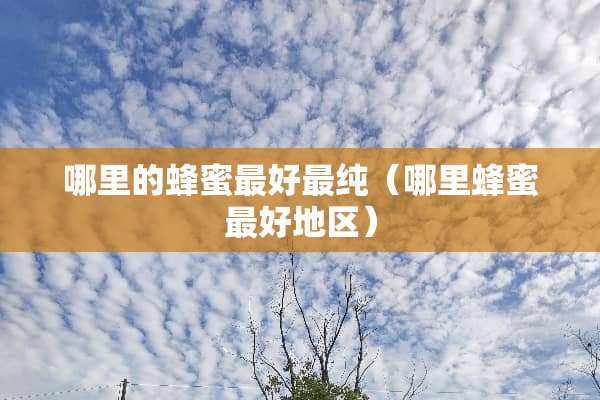 哪里的蜂蜜最好最纯（哪里蜂蜜最好地区）