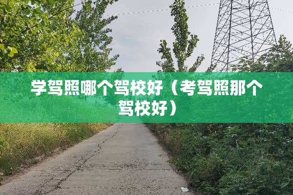 学驾照哪个驾校好（考驾照那个驾校好）