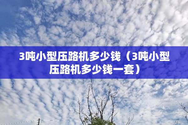 3吨小型压路机多少钱（3吨小型压路机多少钱一套）