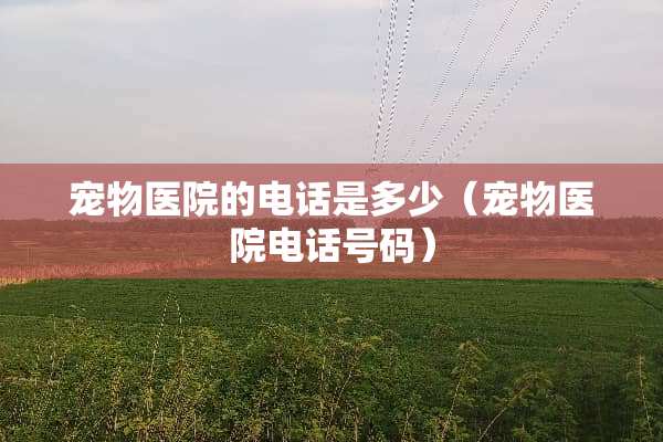 宠物医院的电话是多少（宠物医院电话号码）