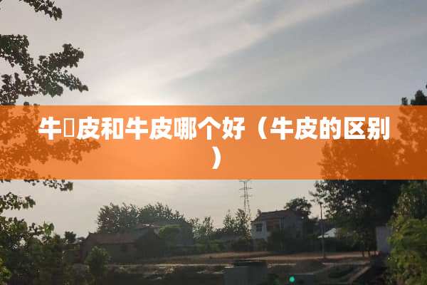 牛猄皮和牛皮哪个好（牛皮的区别）