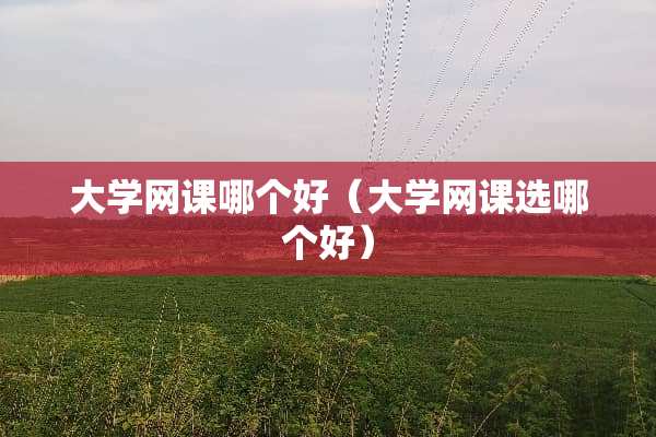 大学网课哪个好（大学网课选哪个好）