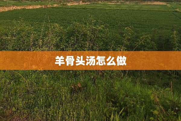 羊骨头汤怎么做