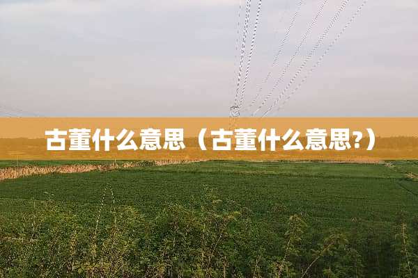 古董什么意思（古董什么意思?）