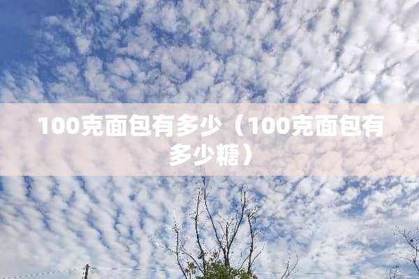100克面包有多少（100克面包有多少糖）