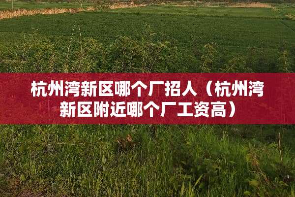 杭州湾新区哪个厂招人（杭州湾新区附近哪个厂工资高）