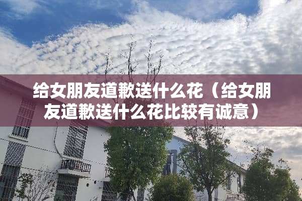 给女朋友道歉送什么花（给女朋友道歉送什么花比较有诚意）