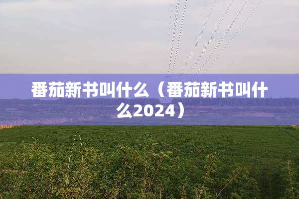 番茄新书叫什么（番茄新书叫什么2024）