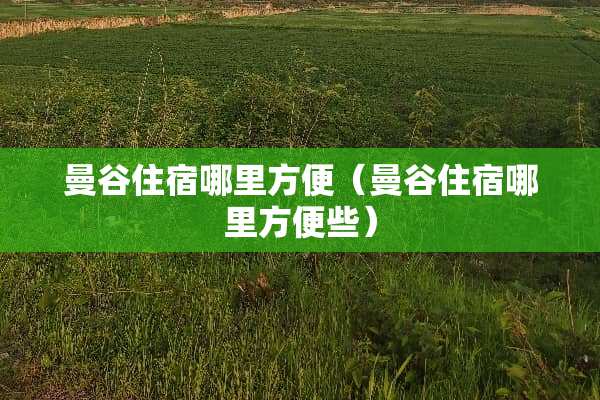 曼谷住宿哪里方便（曼谷住宿哪里方便些）
