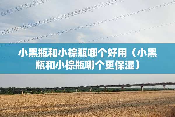 小黑瓶和小棕瓶哪个好用（小黑瓶和小棕瓶哪个更保湿）