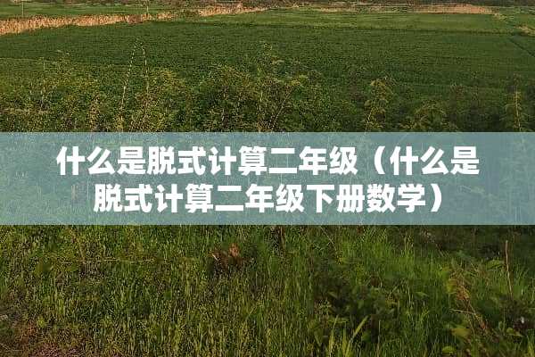 什么是脱式计算二年级（什么是脱式计算二年级下册数学）