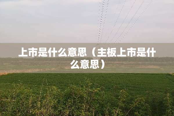 上市是什么意思（主板上市是什么意思）