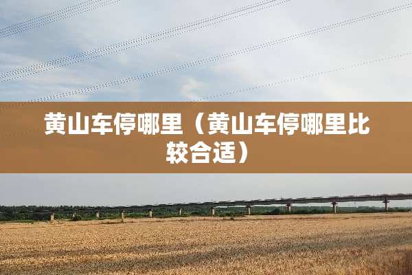 黄山车停哪里（黄山车停哪里比较合适）
