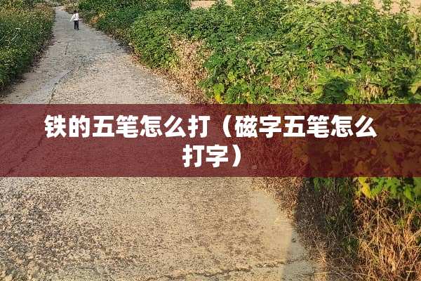 铁的五笔怎么打（磁字五笔怎么打字）
