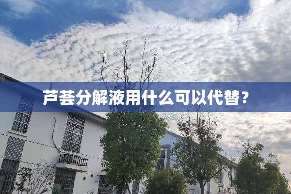 芦荟分解液用什么可以代替？