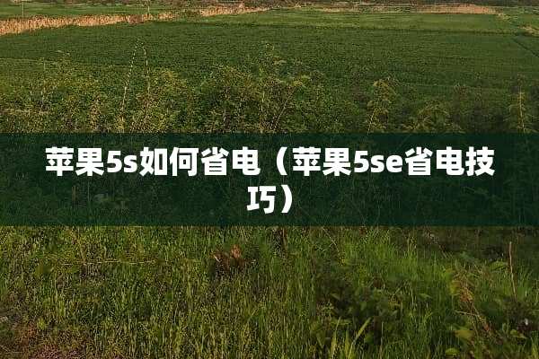 苹果5s如何省电（苹果5se省电技巧）
