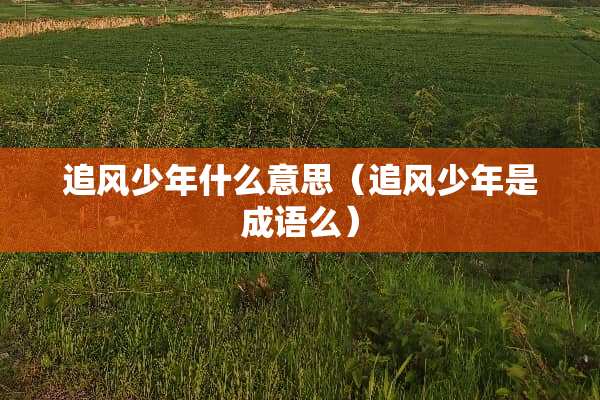 追风少年什么意思（追风少年是成语么）