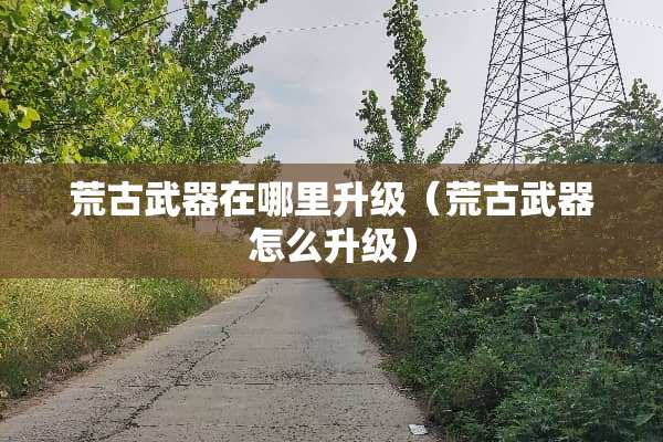 荒古**在哪里升级（荒古**怎么升级）
