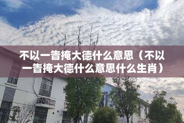 不以一眚掩大德什么意思（不以一眚掩大德什么意思什么生肖）