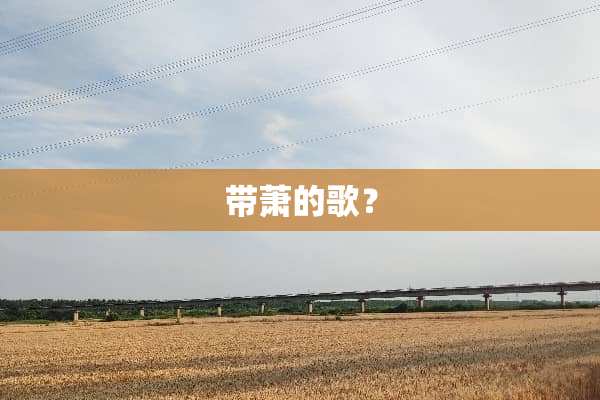 带萧的歌？