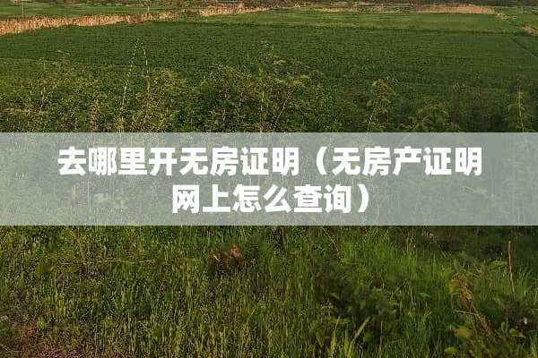 去哪里开无房证明（无房产证明网上怎么查询）