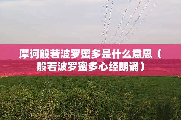 摩诃般若波罗蜜多是什么意思（般若波罗蜜多心经朗诵）
