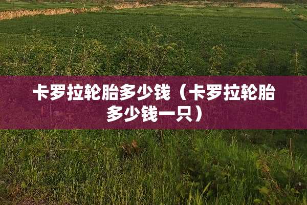 卡罗拉轮胎多少钱（卡罗拉轮胎多少钱一只）