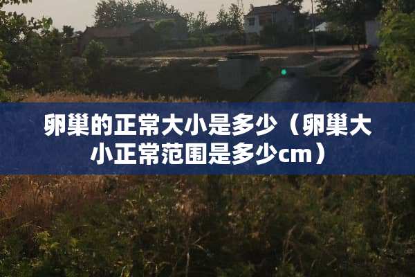 卵巢的正常大小是多少（卵巢大小正常范围是多少cm）