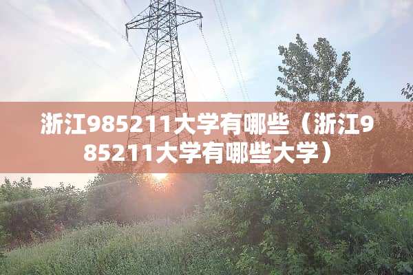浙江985211大学有哪些（浙江985211大学有哪些大学）