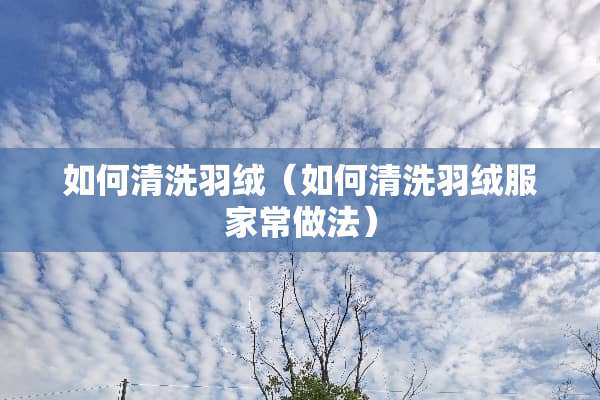 如何清洗羽绒（如何清洗羽绒服家常做法）