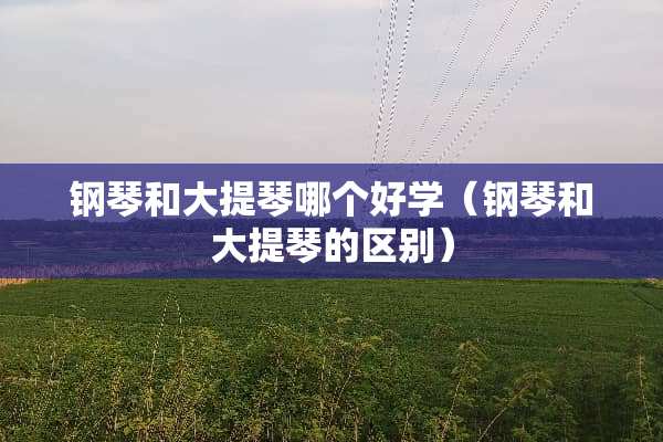 钢琴和大提琴哪个好学（钢琴和大提琴的区别）