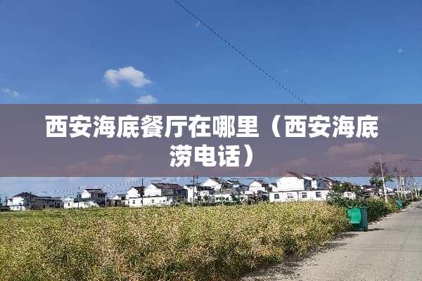 西安海底餐厅在哪里（西安海底涝电话）